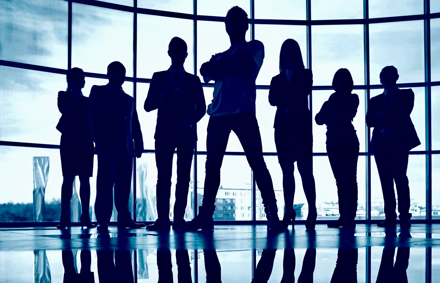 About Mehu Solutions